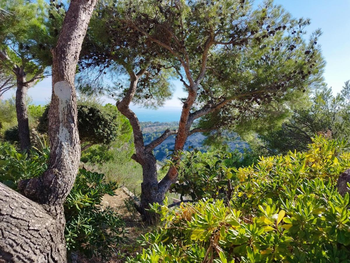 Sweet Calanque - Host Provence Leilighet Cassis Eksteriør bilde